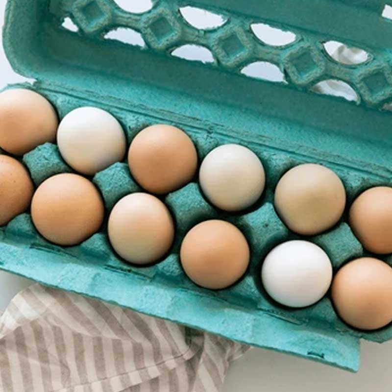 dozen eggs